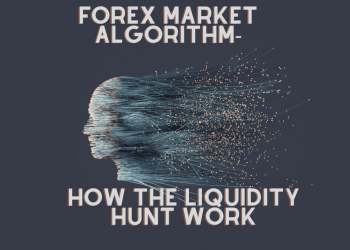 Forex Market Algorithm- How The Liquidity Hunt Work