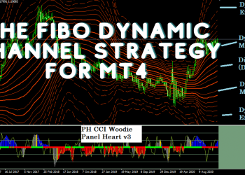 Nvidia stock - The Fibo Dynamic Channel Strategy for MT4 works as the basic technical trading strategy with dynamic lines and dynamic pivot points. Getting trading positions by focusing on support and resistance levels as obstacles is not a new concept as these levels act obstructively to the price movement. Where prices may start to retreat or continue after taking a short break, this trading system is a visual representation of these levels (generated by the Fibonacci series) or could be considered a new model for traditional usage of the Pivot Point and Support & Resistance levels. The Fibo Dynamic Channel Strategy For MT4