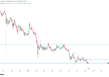 XRPUSDT Awaits A Validation At The Record Low Price