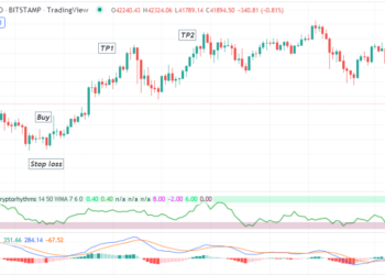 Bar Strength Index (BSI) Crypto Strategy: Everything You Should Know