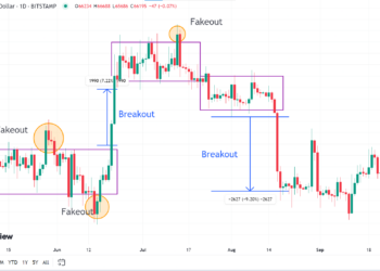 Top Most profitable Trading Strategy In Cryptocurrency