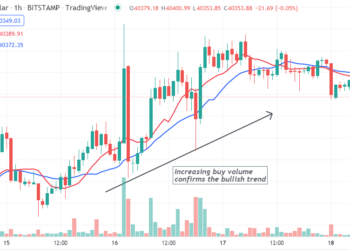 Bitcoin Buy & Sell Indicator Strategy: Top 5 Tips for Using Specific Criteria